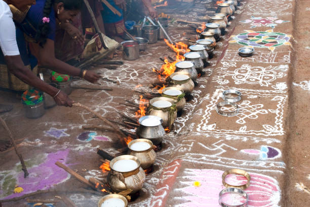Pongal